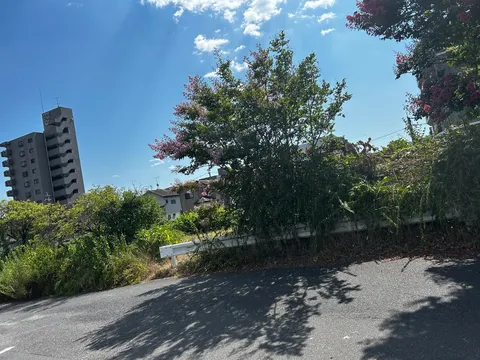 夏のビルと紫陽花の囁き