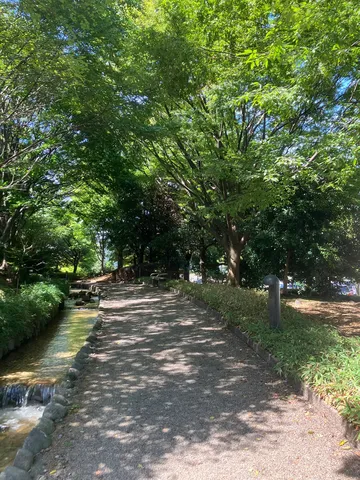 木漏れ日の小径、せせらぎの音色