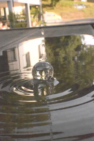夏の影