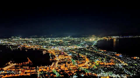 夜の湾岸都市、光の競演