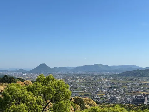 青空と緑のコントラスト、広がる街並み
