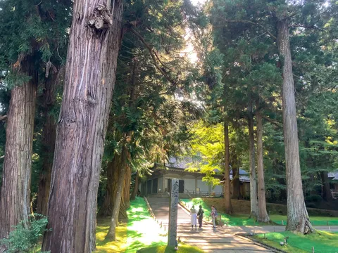 木漏れ日と静かな参道