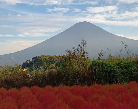 赤い草原と山影の朝