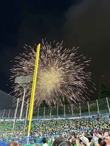 夜空を彩る光のシャワー