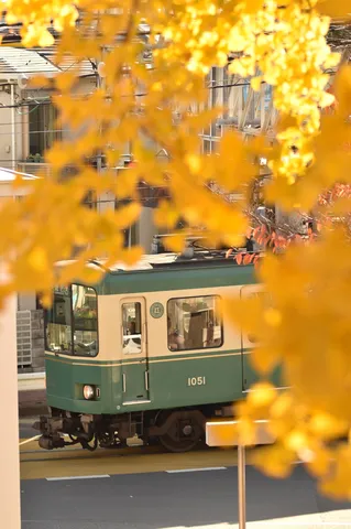 黄金色の秋、街角をゆく電車