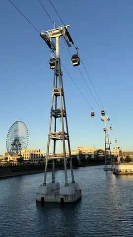 輝く水辺の空中散歩