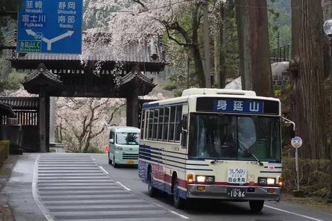 春風の山道と路線バス