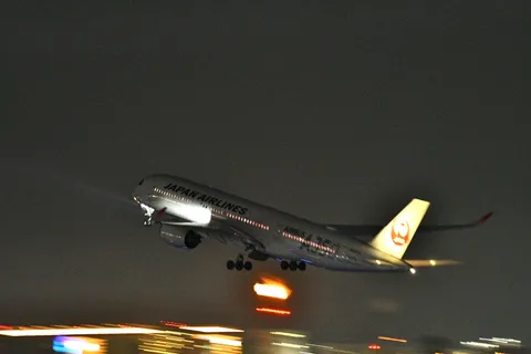 夜空を切り裂く、翼の軌跡