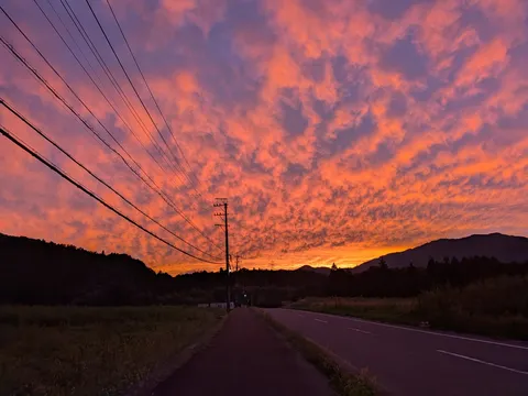 夕焼けと電線の静寂
