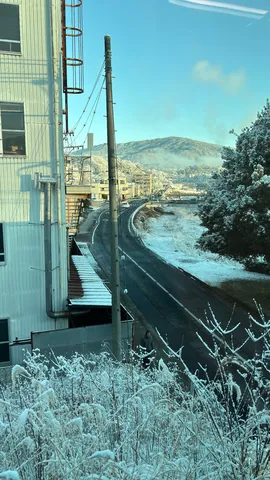 雪景色に紛れる隠密行動？
