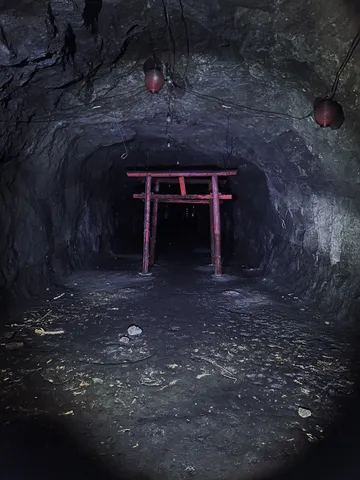暗闇に浮かぶ神秘の鳥居