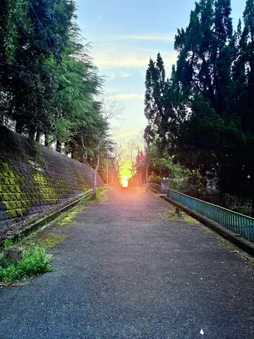 夕暮れの静かな道