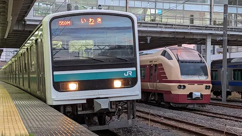 559MとK70
