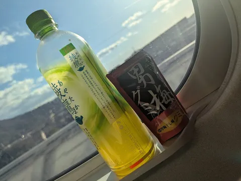 空からの旅のお供