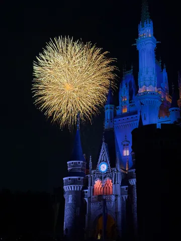 夢を彩る、夜空の花火