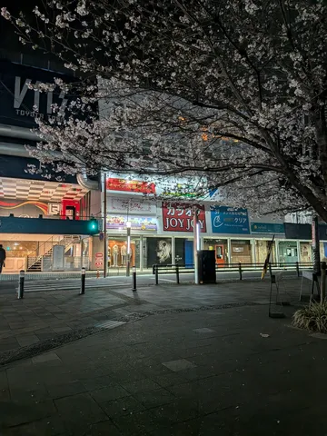 夜の街角、淡く咲く桜