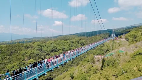 絶景橋の空中大行進
