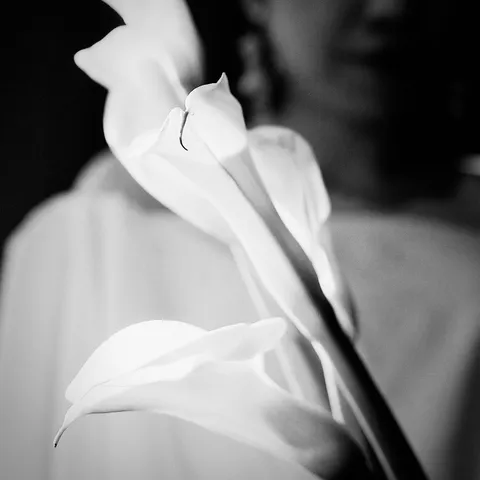 闇夜に咲く、白い光の芸術