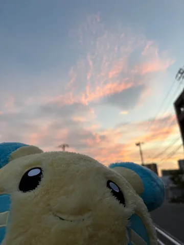 ぬいぐるみと夕焼け空の出会い
