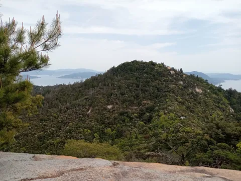 緑深き山と青き海のコントラスト