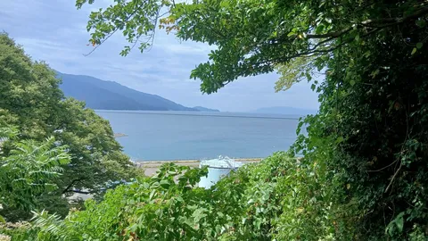 木陰から覗く穏やかな海景