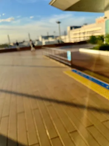 光と影のコントラストが鮮やか