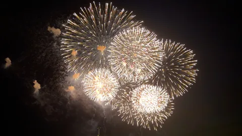 夜空を彩る、光の華