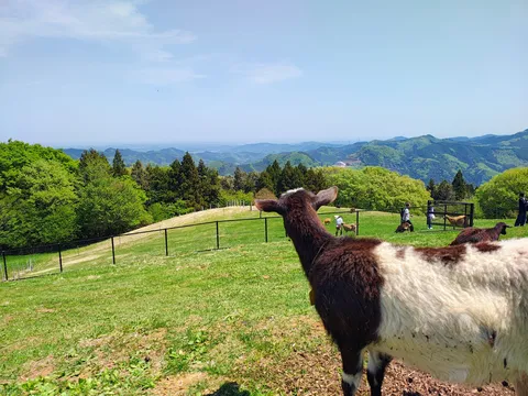 山と草原に揺れる瞬間