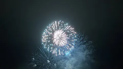 夜空に咲く光の花