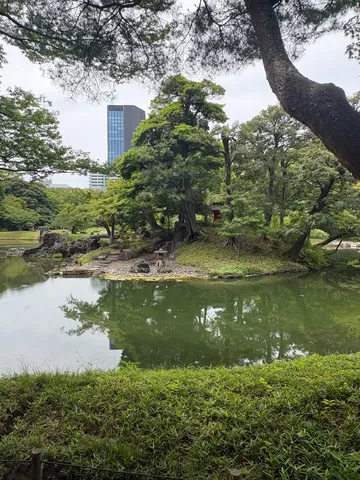 都会のオアシス、静寂の借景