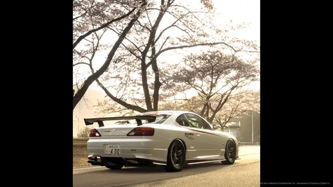 桜並木と白い相棒