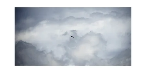 雲間を飛ぶ鳥、孤独な旅人