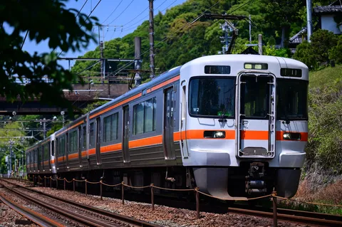 新緑を駆ける列車