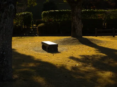 木漏れ日とベンチの静寂