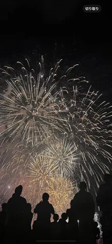 夜空を彩る光の華