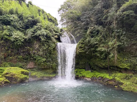 緑滴る二段の滝