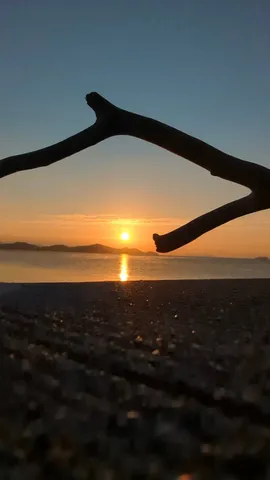 海辺の枝と空のグラデーション