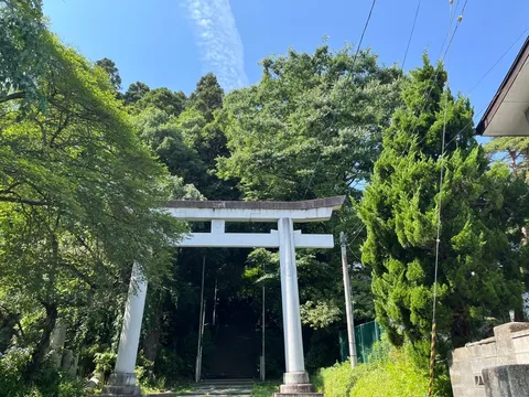 緑に包まれた聖域への入り口