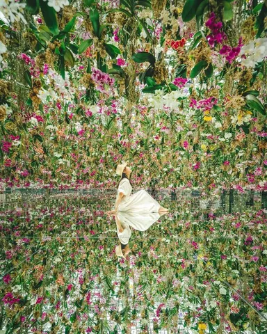 花の鏡に映る静けさ