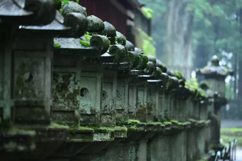 苔むす石灯籠、神秘の小道