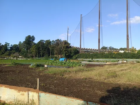畑に広がる静かな光景