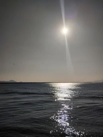 太陽と海、鳥の遠近感