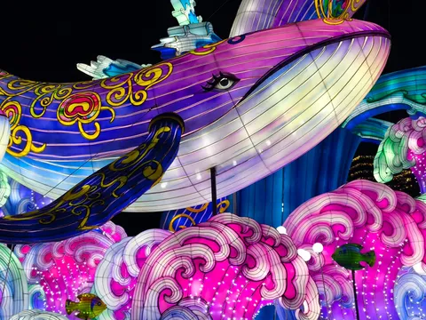 目力強すぎ！七色クジラ