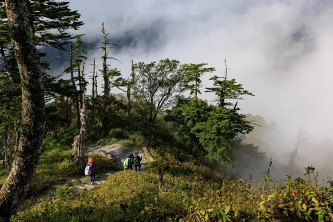 霧に包まれた神秘の山道