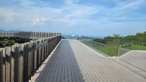 木漏れ日と青空の遊歩道