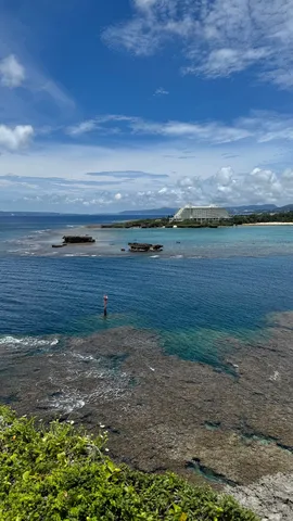 青と碧の海辺に宿る物語