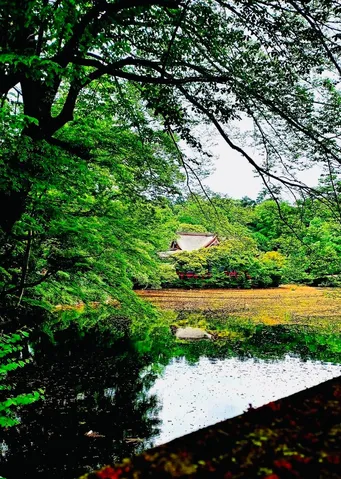 新緑の池に佇む古刹
