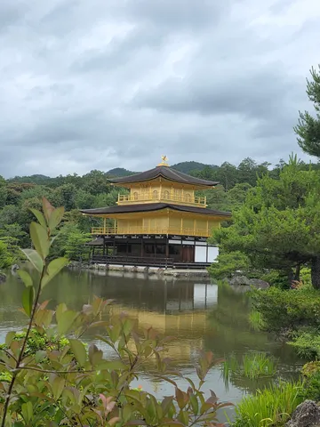 金色の寺院、水面に映る神秘