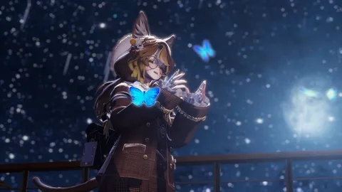 星降る夜の夢