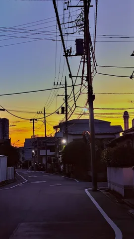 夕暮れの電線ミラー劇場